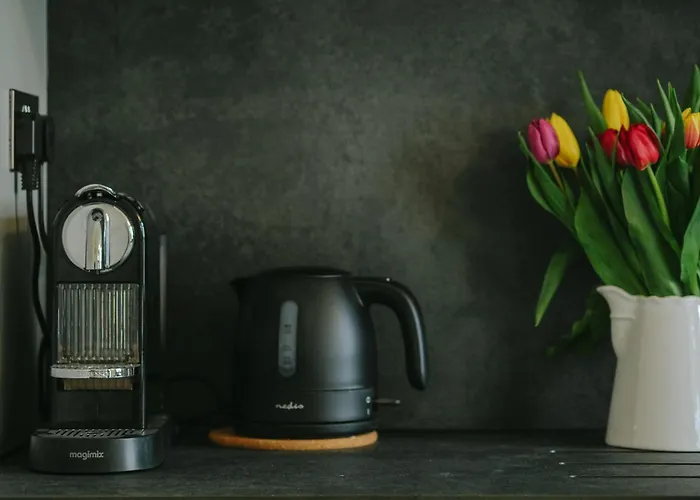 Luxury Redland 1-bed - Free Parking Lejlighed