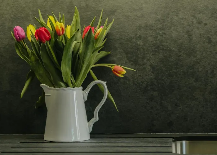 Luxury Redland 1-bed - Free Parking *