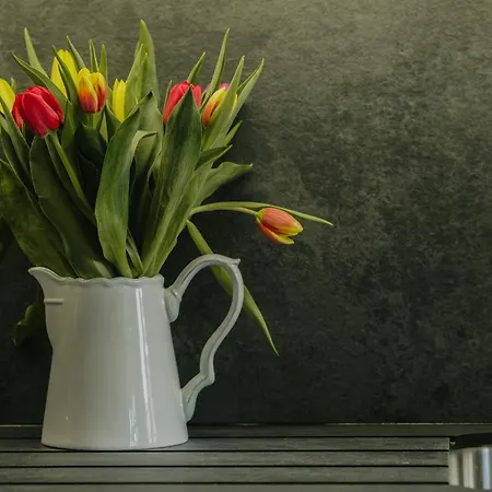 Luxury Redland 1-bed - Free Parking *